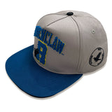 Ravenclaw College - Snapback Cap